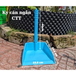 Ky thái lớn 3