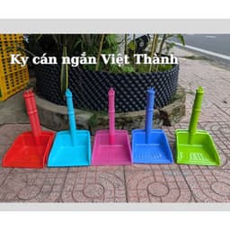 Ky thái lớn 4